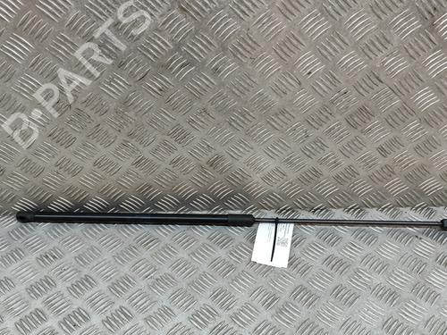Used Hood lift support AUDI A3 Sportback (8VA, 8VF) 1.0 TFSI (115 hp) 17225490