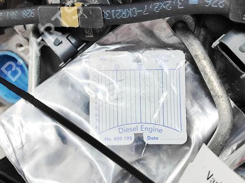 Engine LAND ROVER RANGE ROVER EVOQUE (L538) 2.0 D 4x4 | BP31976699M1 