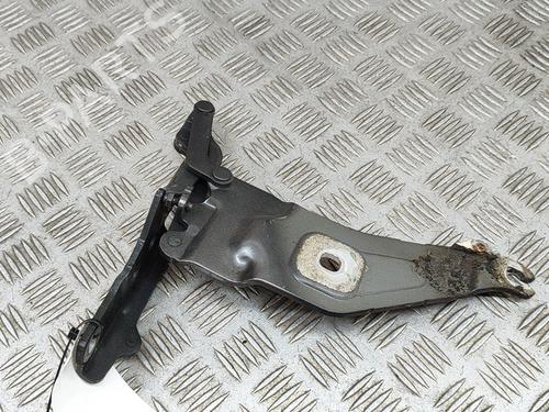 Hinge/Door check strap BMW X5 (E70) xDrive 40 d | BP19280931C146 