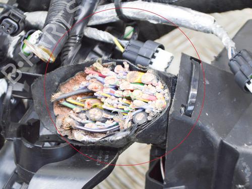 Wiring harness FORD ECOSPORT 1.0 EcoBoost | BP14652237E16 