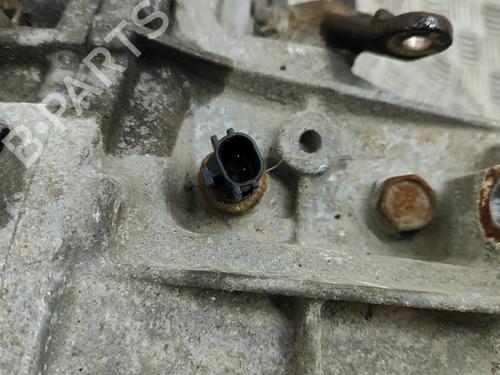  - Image 6