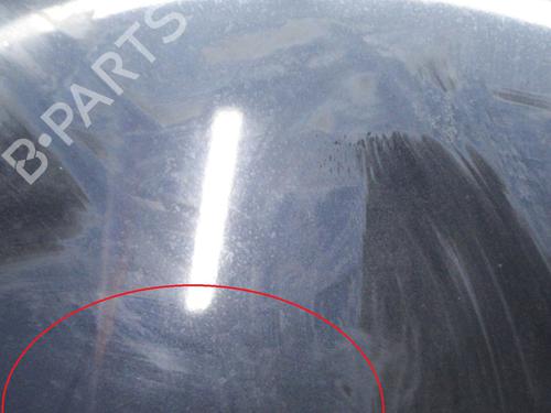 Hood JAGUAR S-TYPE II (X200) 2.7 D | BP9296247C1 