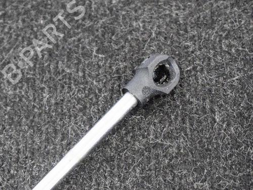 Hood lift support DACIA SANDERO II 1.2 | BP14668147C139 
