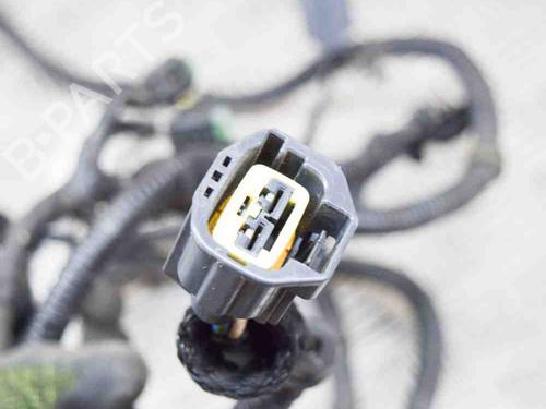 Wiring harness LAND ROVER RANGE ROVER IV (L405) 3.0 TDV6 4x4 | BP14637889E16