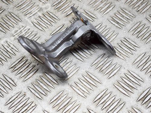 Hinge/Door check strap LAND ROVER DISCOVERY V (L462) D300 MHEV 4x4 | BP27756379C146