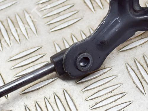 Hood lift support TESLA MODEL 3 (5YJ3) EV | BP27758567C139 