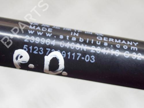 Hood lift support BMW 5 (F10) 535 d | BP14629653C139 