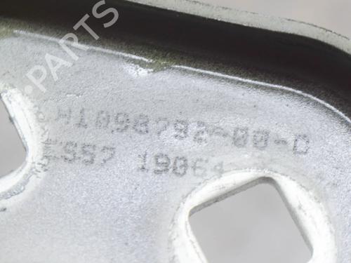 Hinge/Door check strap TESLA MODEL 3 (5YJ3) EV | BP27751568C146 