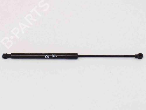 Heckklappendämpfer für DACIA SANDERO II 1.5 dCi (90 hp) 14661212