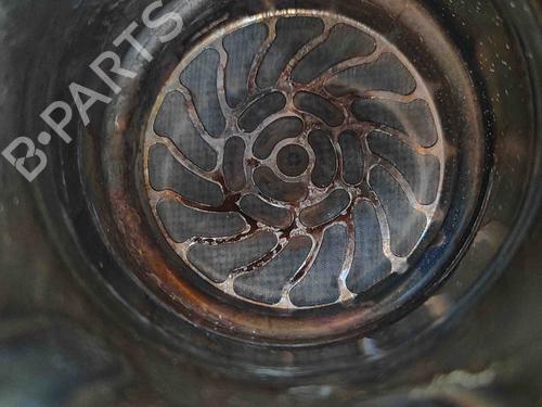 Catalizzatore AUDI Q5 (FYB, FYG) 2.0 TDI quattro | BP24976431M10