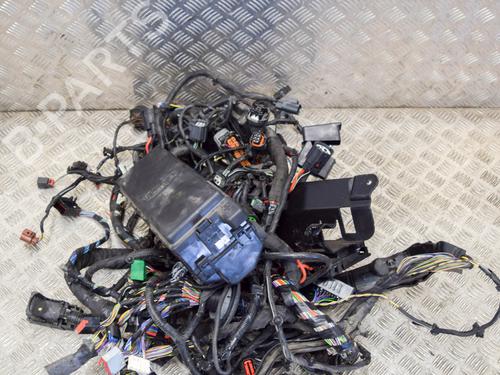 Wiring harness LAND ROVER RANGE ROVER SPORT II (L494) 3.0 SDV6 4x4 | BP27757044E16 