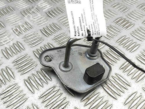 Exterior handle SKODA ENYAQ iV SUV (5AZ) 60 | BP29487911C122 