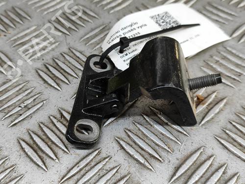 Hinge/Door check strap AUDI Q8 (4MN, 4MT) 50 TDI Mild Hybrid quattro | BP29234585C146 