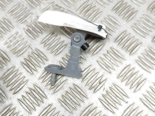 Hinge/Door check strap AUDI A4 B9 Avant (8W5, 8WD) RS4 TFSi quattro | BP27772300C146 