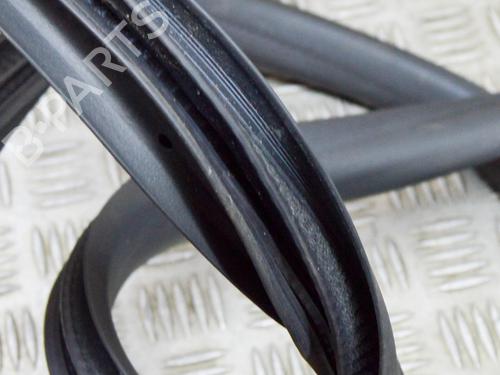 Gummiliste FORD FIESTA VII (HJ, HF) 1.0 EcoBoost | BP14646532C142 