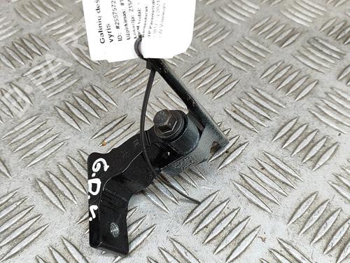 Hinge/Door check strap VOLVO XC40 (536) T3 | BP27774750C146 - Image 2