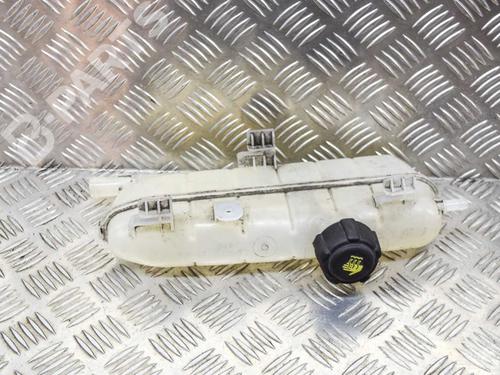 expansion-tank-renault-zoe-bfm_-zoe-renault-217101652r-2012-7735905 main image