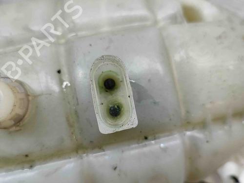 Expansion tank BMW 4 Coupe (F32, F82) 435 d xDrive | BP21809189C120 