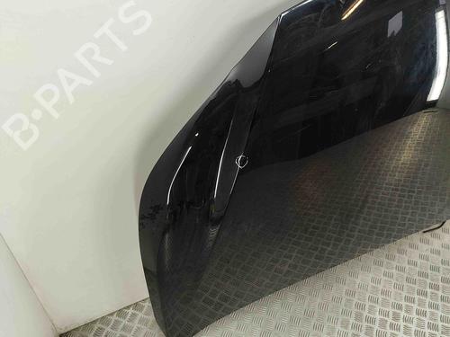 Hood LEXUS NX (_Z1_) 300h AWD (AYZ15, AYZ15_, AYZ15R) | BP28028611C1 