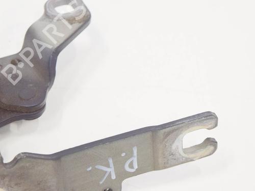 Hinge/Door check strap BMW 3 (E90) 330 d | BP14613415C146 