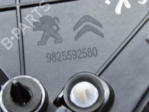 Other PEUGEOT 2008 II (UD_, US_, UY_, UJ_, UR_, UC_) 1.2 PureTech 100 (USHNK) | BP14645780O1