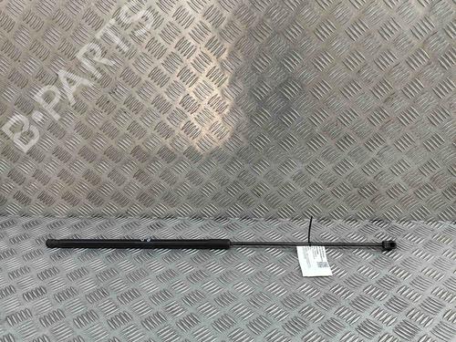 Used Hood lift support AUDI A3 Sportback (8VA, 8VF) RS3 quattro (400 hp) 29404107
