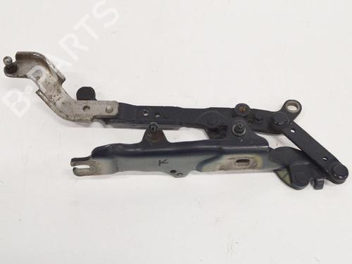 Hinge/Door check strap BMW 5 Touring (F11) 525 d | BP14607598C146