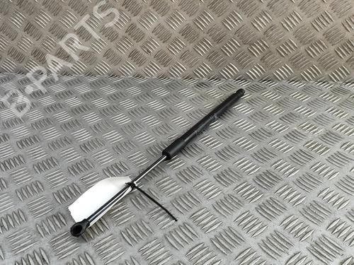 Tailgate lift support FIAT 500 (312_) 1.0 Mild Hybrid (312.AYD1B) | BP29373382C138
