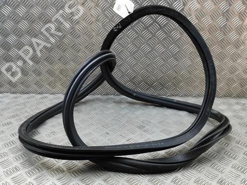 Gummiliste BMW iX (I20) xDrive 40 | BP33377549C142 - Image 5