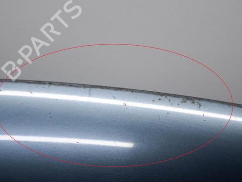 Hood VW PHAETON (3D1, 3D2, 3D3, 3D4, 3D6, 3D7, 3D8, 3D9) 5.0 V10 TDI 4motion | BP8145632C1 