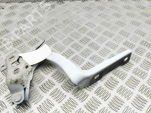 hingedoor-check-strap-tesla-model-y-5yjy-2019-33394389 main image