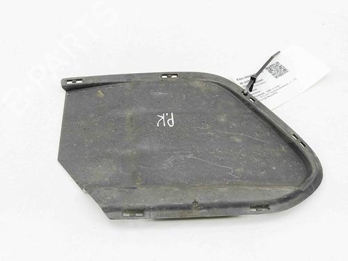 Grille BMW X1 (F48) sDrive 18 d | BP29730994C40 