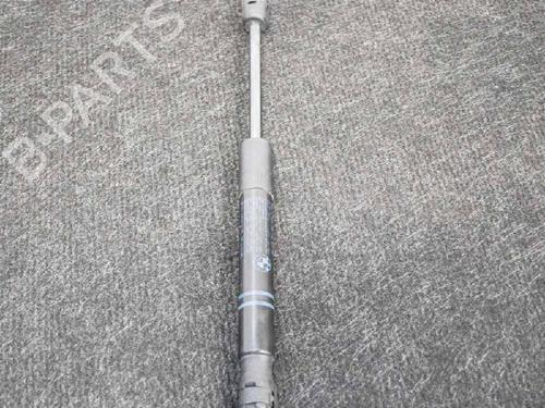 Hood lift support BMW 1 (F20) M 135 i | BP14608662C139 