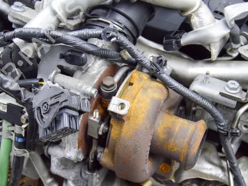Engine NISSAN JUKE (F15) 1.5 dCi | BP13319652M1 