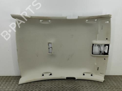 Used Interior roof VW PASSAT B8 (3G2, CB2) 1.6 TDI (120 hp) 20337367