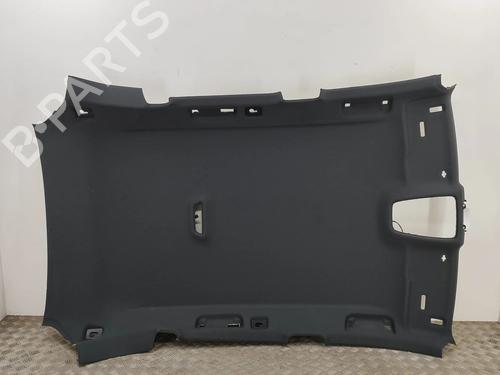 Used Interior roof Interior roof AUDI Q5 (FYB, FYG) 2.0 TDI quattro (190 hp) 30178025 30178025