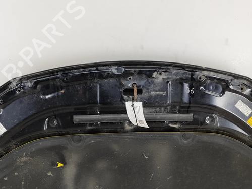 Motorhjelm LEXUS CT (ZWA10_) 200h (ZWA10_) | BP29593482C1 