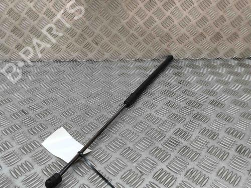Hood lift support AUDI E-TRON (GEN) 55 quattro | BP29404555C139 