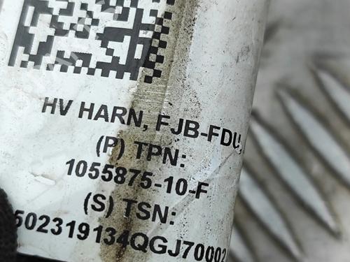 Wiring harness TESLA MODEL S (5YJS) P100D AWD | BP30405010E16