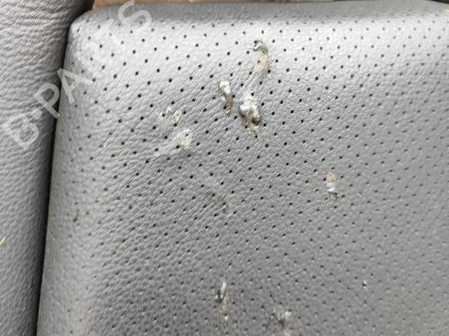 Right front seat PORSCHE PANAMERA (970) 3.0 D | BP33374137C16 - Image 5