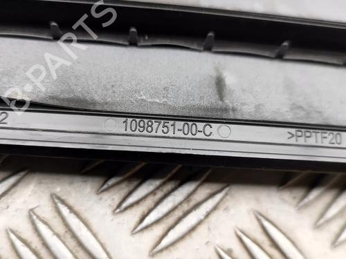 Grille TESLA MODEL Y (5YJY) Long Range All-wheel Drive | BP30856772C40