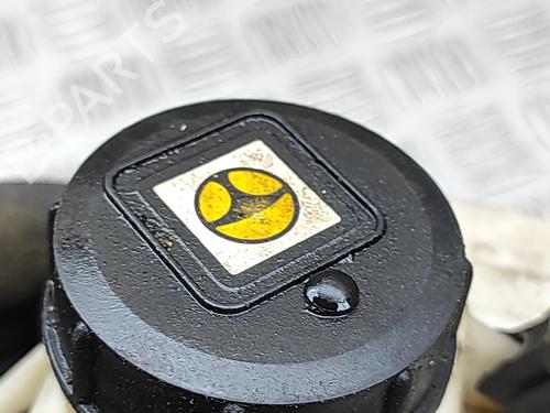 Power steering reservoir FIAT DUCATO Van (250_) 130 Multijet 2,3 D | BP31902931M117 
