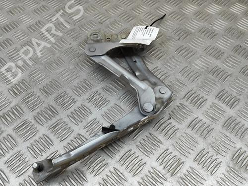 Used Hinge/Door check strap Hinge/Door check strap SKODA SUPERB III (3V3) 1.6 TDI (120 hp) 24975508 24975508