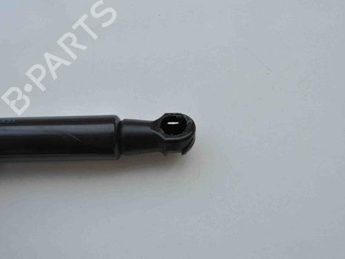 Hood lift support RENAULT SCÉNIC III (JZ0/1_) 1.6 dCi (JZ00, JZ12) | BP30232752C139 