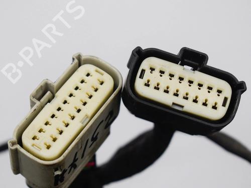 Wiring harness TESLA MODEL S (5YJS) 75 | BP20231344E16 - Image 2