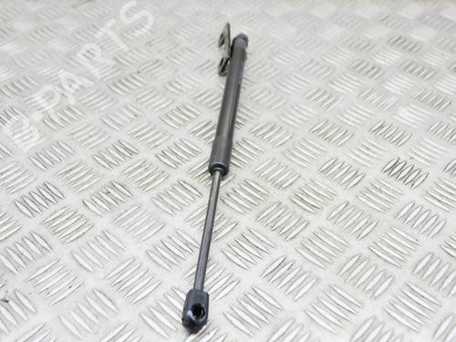 hood-lift-support-tesla-model-3-5yj3-2017-27758277 main image