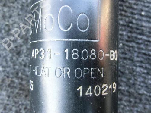 Used Left rear shock absorber FORD B-MAX (JK) 1.0 EcoBoost (100 hp) 6722226