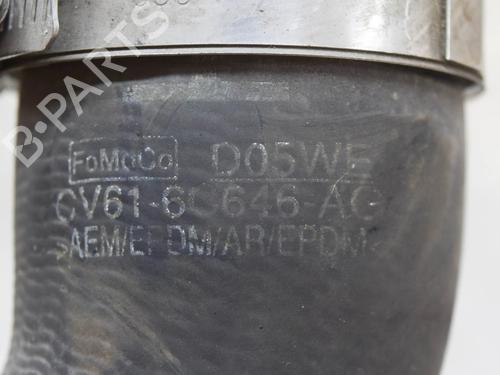 Pipe FORD FOCUS III 1.0 EcoBoost | BP6771019M125