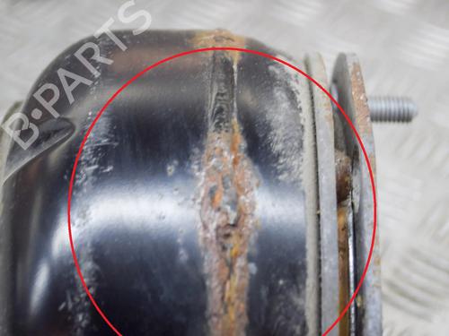 Left rear shock absorber VW TIGUAN (AD1, AX1) 1.4 TSI | BP10070694M18 