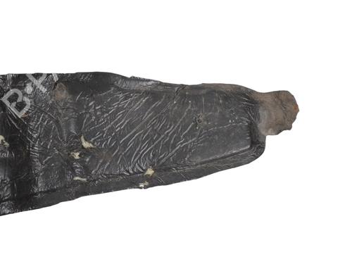 Other TESLA MODEL S (5YJS) P90D AWD | BP30251477O1 